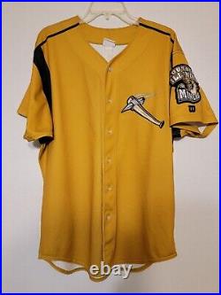 2007 Southern Illinois Miners Minor League Baseball Game Used Home Jersey #25
