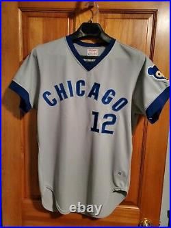 Chicago Cubs Vintage 1974 Andre Thornton Game Used Grey Road Jersey
