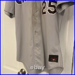 Potomac CANNONS PW Washington Nationals Game Worn Used Jersey St Louis Cardinals