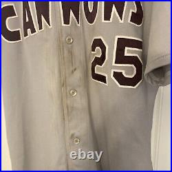 Potomac CANNONS PW Washington Nationals Game Worn Used Jersey St Louis Cardinals